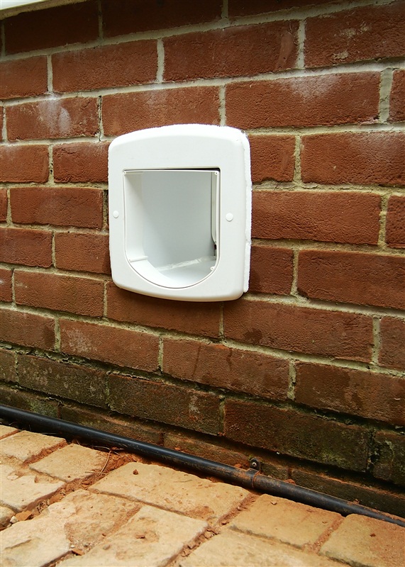 Cat flap fitted neatly in brick wall